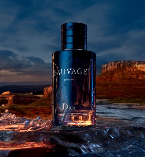 dior parfum herren sauvage|sauvage von dior preiswert.